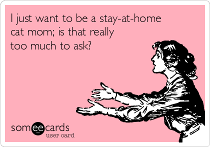 I just want to be a stay-at-homecat mom; is that reallytoo much to ask?