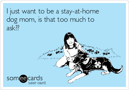 I just want to be a stay-at-home
dog mom, is that too much to
ask??