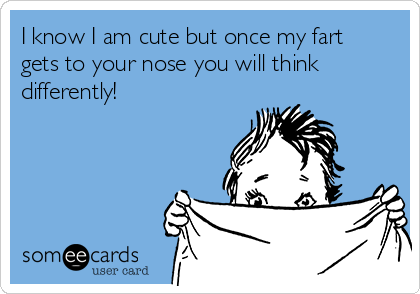 I know I am cute but once my fart
gets to your nose you will think
differently!
