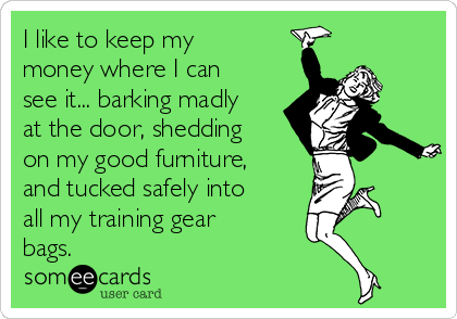 I like to keep my
money where I can
see it... barking madly
at the door, shedding
on my good furniture,
and tucked safely into
all my training gear
bags.