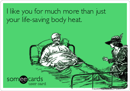 I like you for much more than just
your life-saving body heat. 
