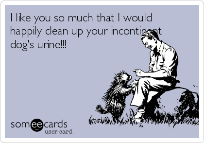 I like you so much that I would
happily clean up your incontinent
dog's urine!!!