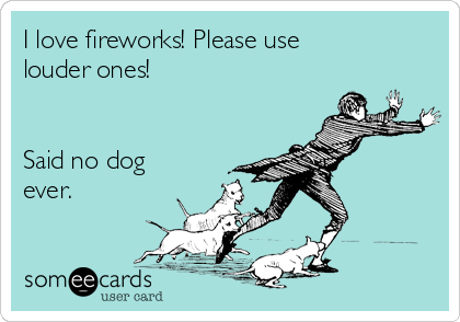 I love fireworks! Please use
louder ones!


Said no dog
ever.