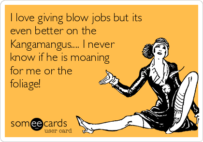 I love giving blow jobs but its
even better on the
Kangamangus.... I never
know if he is moaning
for me or the
foliage!