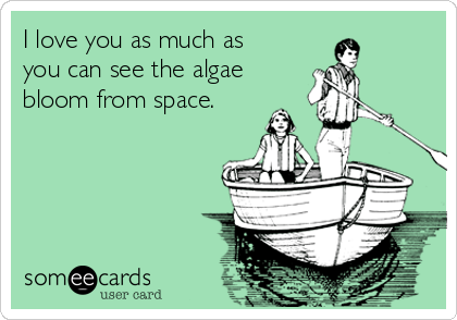 I love you as much as
you can see the algae
bloom from space.