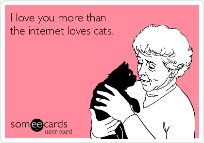 I love you more than
the internet loves cats.