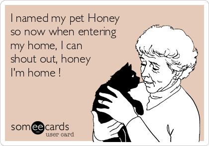 I named my pet Honey
so now when entering
my home, I can
shout out, honey
I'm home !