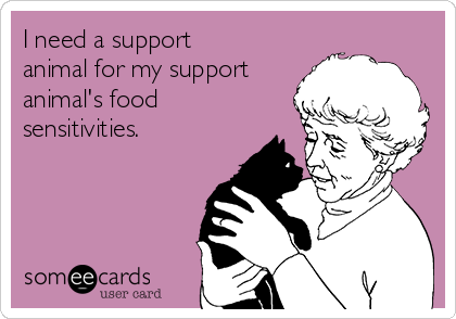 I need a support
animal for my support
animal's food
sensitivities.