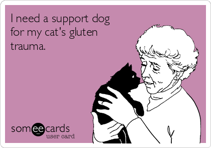 I need a support dog
for my cat's gluten
trauma.
