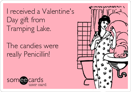 I received a Valentine's
Day gift from
Tramping Lake.

The candies were 
really Penicillin!
