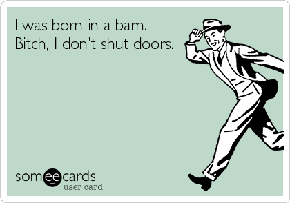 I Was Born In A Barn Bitch I Don T Shut Doors Encouragement Ecard