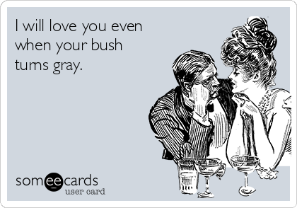 I will love you even 
when your bush
turns gray.