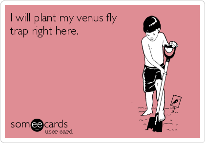 I will plant my venus fly
trap right here.