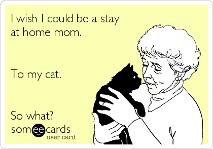 I wish I could be a stay
at home mom. 


To my cat. 


So what? 