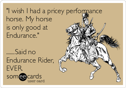 "I wish I had a pricey performance
horse. My horse
is only good at
Endurance."

.......Said no
Endurance Rider, 
EVER. 