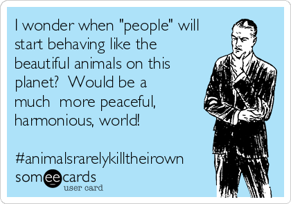I wonder when "people" will
start behaving like the
beautiful animals on this
planet?  Would be a
much  more peaceful,
harmonious, world!

#animalsrarelykilltheirown