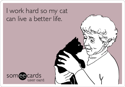 I work hard so my cat
can live a better life.