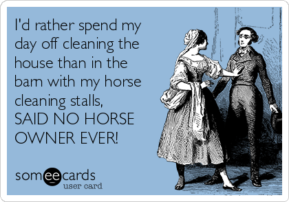 I'd rather spend my
day off cleaning the
house than in the
barn with my horse
cleaning stalls,
SAID NO HORSE
OWNER EVER!