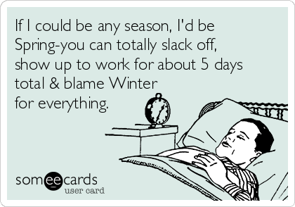 If I could be any season, I'd be
Spring-you can totally slack off,
show up to work for about 5 days
total & blame Winter
for everything.