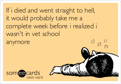 If i died and went straight to hell, 
it would probably take me a
complete week before i realized i
wasn't in vet school
anymore