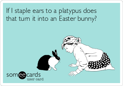 If I staple ears to a platypus does
that turn it into an Easter bunny?