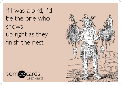 If I was a bird, I'd
be the one who
shows
up right as they
finish the nest.