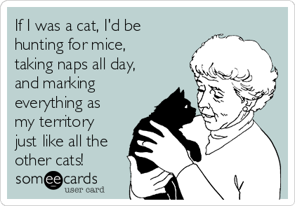If I was a cat, I'd be
hunting for mice,
taking naps all day,
and marking
everything as
my territory
just like all the
other cats!