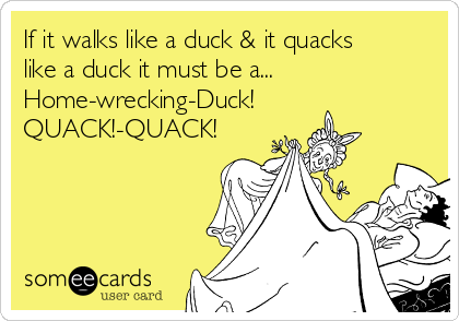 If it walks like a duck & it quacks
like a duck it must be a...
Home-wrecking-Duck!
QUACK!-QUACK!
