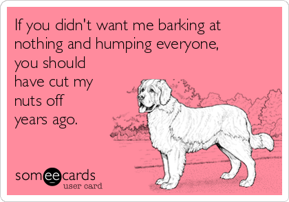 If you didn't want me barking at
nothing and humping everyone,
you should
have cut my
nuts off
years ago.  