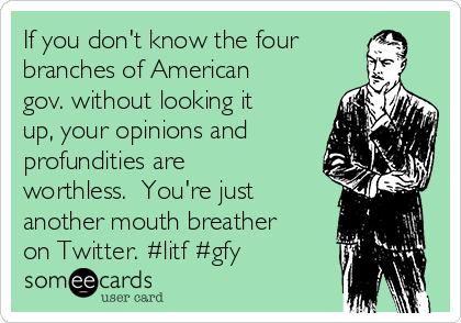 If you don't know the four
branches of American
gov. without looking it
up, your opinions and
profundities are
worthless.  You're just
another mouth breather
on Twitter. #litf #gfy