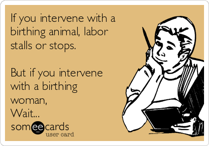 If you intervene with a
birthing animal, labor
stalls or stops.

But if you intervene
with a birthing
woman, 
Wait...