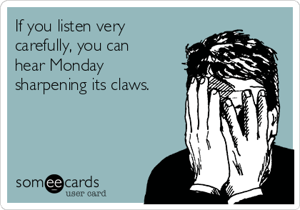 If you listen very
carefully, you can
hear Monday
sharpening its claws.