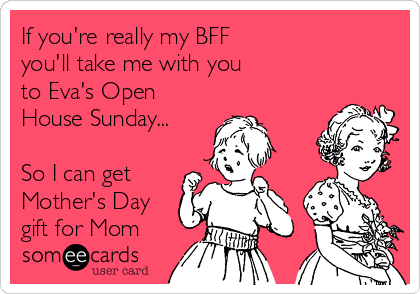 If you're really my BFF 
you'll take me with you 
to Eva's Open
House Sunday...

So I can get 
Mother's Day
gift for Mom