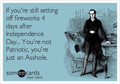 If you're still setting
off fireworks 4
days after
Independence
Day... You're not
Patriotic, you're
just an Asshole.