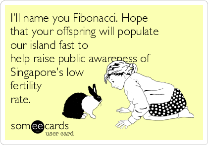 I'll name you Fibonacci. Hope
that your offspring will populate
our island fast to
help raise public awareness of
Singapore's low
fertility
rate.