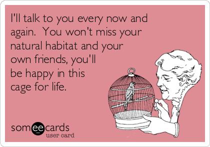 I'll talk to you every now and
again.  You won't miss your
natural habitat and your
own friends, you'll
be happy in this
cage for life.