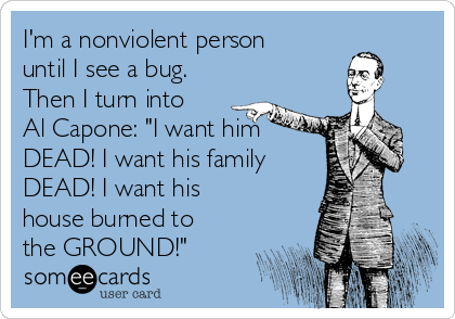 I'm a nonviolent person
until I see a bug.
Then I turn into
Al Capone: "I want him
DEAD! I want his family
DEAD! I want his
house burned to
the GROUND!"