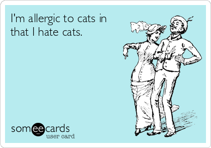 I'm allergic to cats in
that I hate cats.