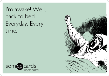 I'm awake! Well,
back to bed.
Everyday. Every
time.