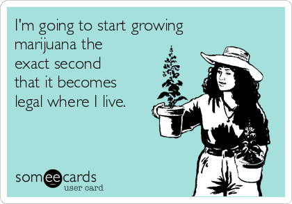 I'm going to start growing
marijuana the
exact second
that it becomes
legal where I live.