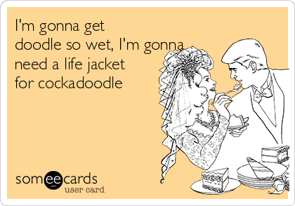 I'm gonna get
doodle so wet, I'm gonna
need a life jacket
for cockadoodle