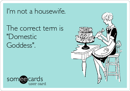 I'm not a housewife.

The correct term is
"Domestic
Goddess".