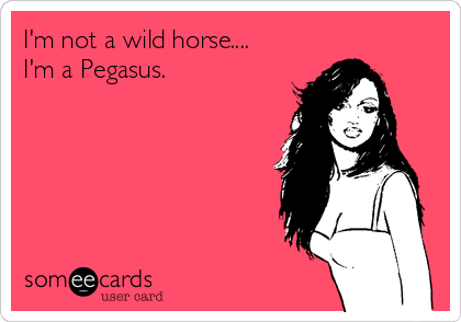 I'm not a wild horse....
I'm a Pegasus. 