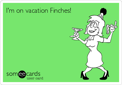 I'm on vacation Finches! 