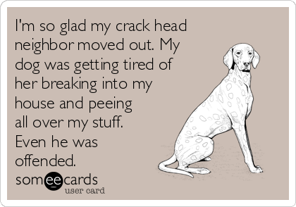I'm so glad my crack head
neighbor moved out. My
dog was getting tired of
her breaking into my
house and peeing
all over my stuff.
Even he was
offended. 