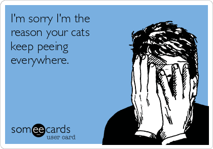 I'm sorry I'm the
reason your cats
keep peeing
everywhere.