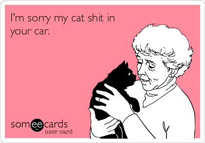 I'm sorry my cat shit in
your car. 