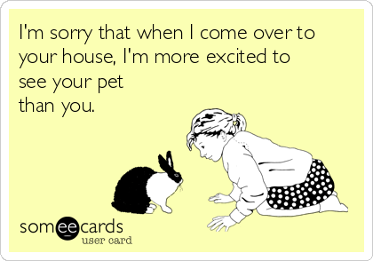 I'm sorry that when I come over to
your house, I'm more excited to
see your pet
than you.