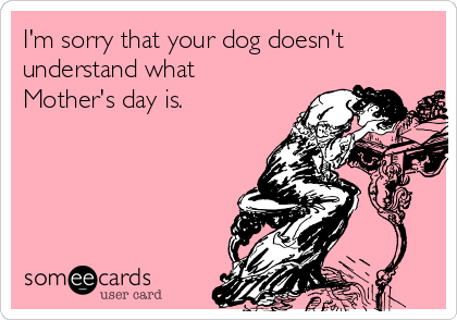 I'm sorry that your dog doesn't
understand what
Mother's day is.