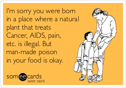 I'm sorry you were born
in a place where a natural
plant that treats
Cancer, AIDS, pain,
etc. is illegal. But
man-made poison
in your food is okay.